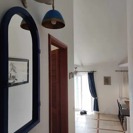 Apartment Zen *
